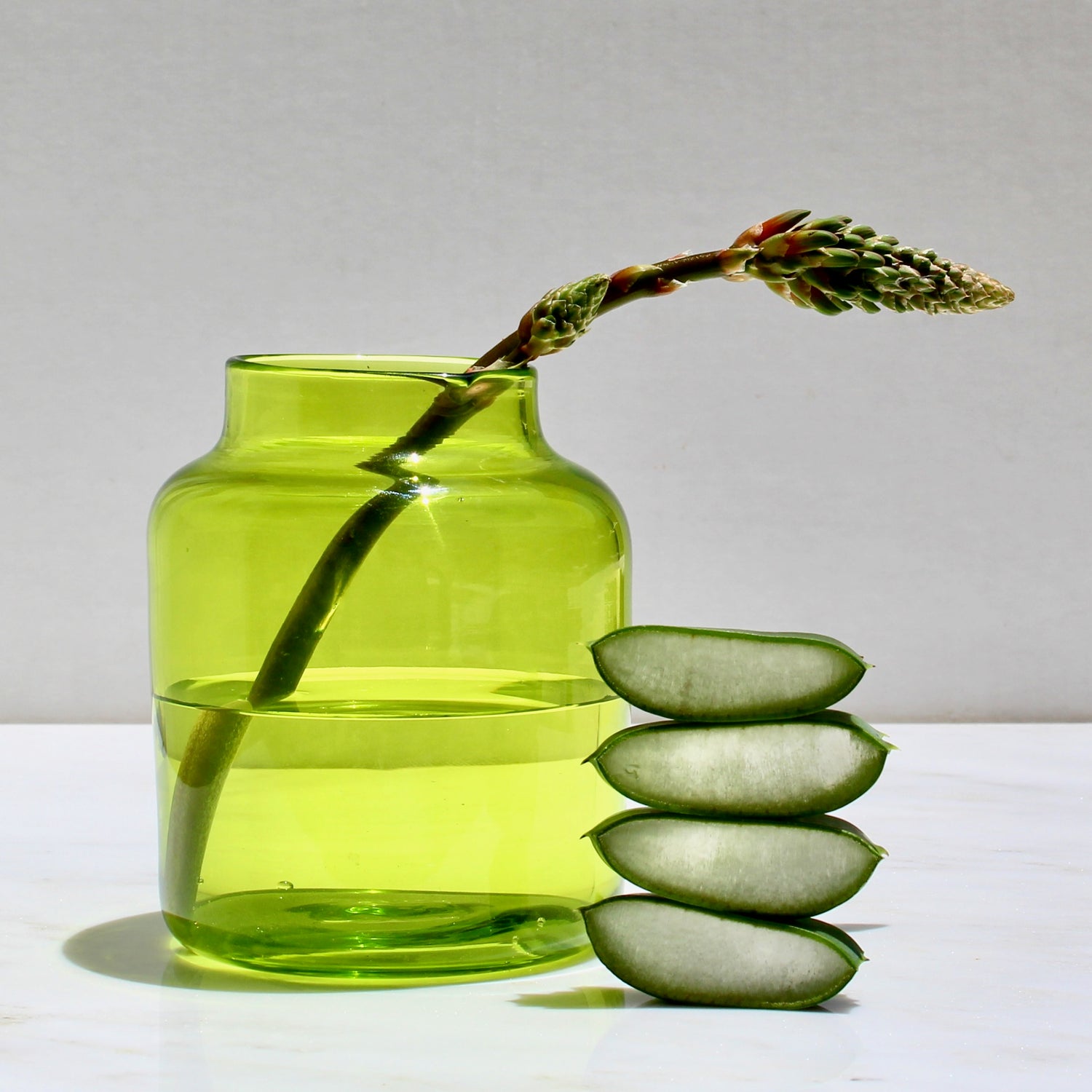 Organic Aloe Vera skin benefits for for acne, anti-aging, fine wrinkles and eczema.