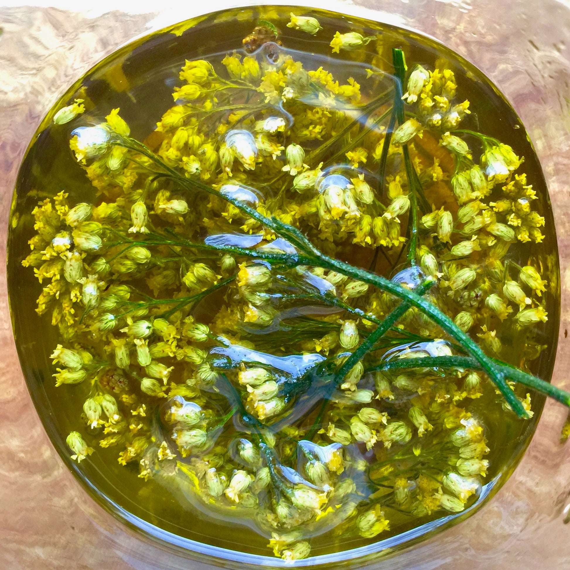 natural_herbs_infusion